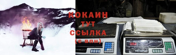 мдпв Богородск
