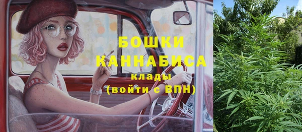 2c-b Богородицк